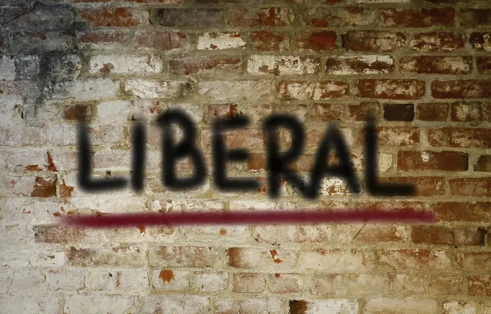 Framed Print : Liberal Concept Print Framed Print : Liberal Concept Print