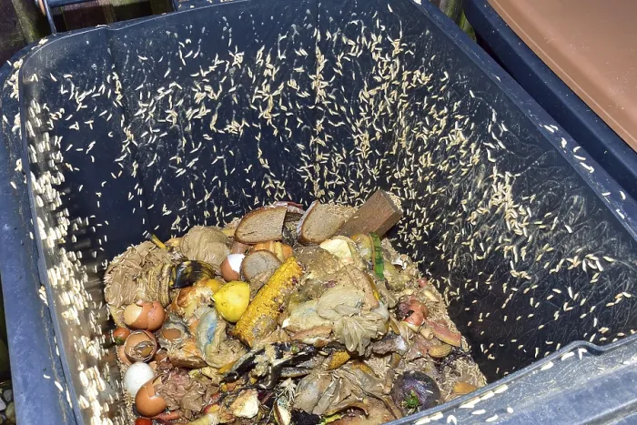 Framed Print : Own Life in a Compost Bin Print Framed Print : Own Life in a Compost Bin Print
