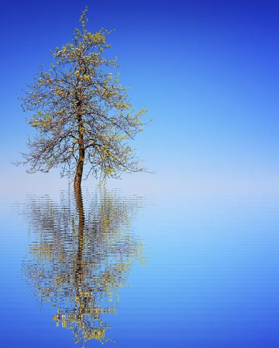 Framed Print : Lifetime Print of a Lifetime from imageBROKER