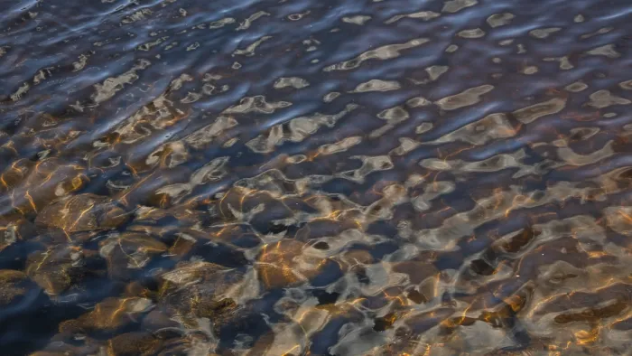 Framed Print : Light Reflections on a Wavy Water Surface Print, Norway Framed Print : Light Reflections on a Wavy Water Surface Print, Norway