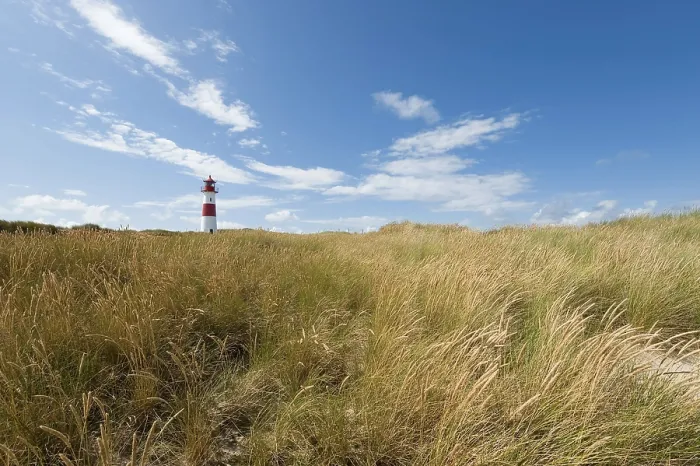 Framed Print : Ellenbogen Lighthouse Print, Sylt Island, North Sea Framed Print : Ellenbogen Lighthouse Print, Sylt Island, North Sea