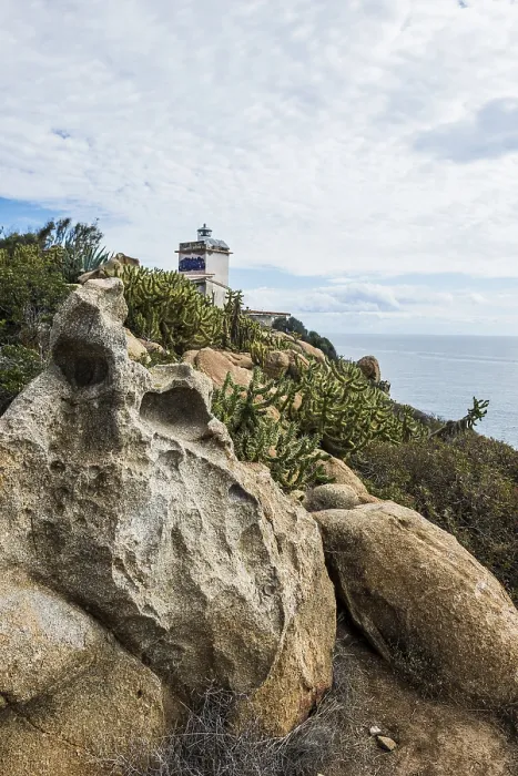 Framed Print : Lighthouse with cacti and rocks Print, Sardinia, Italy Framed Print : Lighthouse with cacti and rocks Print, Sardinia, Italy