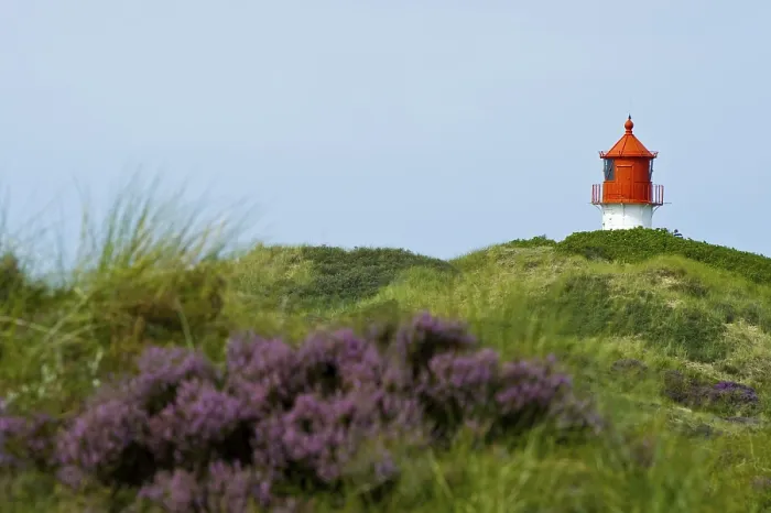 Framed Print : Amrum Lighthouse in the dunes, Germany Print Framed Print : Amrum Lighthouse in the dunes, Germany Print