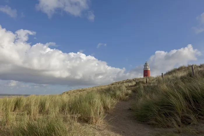 Framed Print : Lighthouse Eierland with dunes Print, Texel, Netherlands Framed Print : Lighthouse Eierland with dunes Print, Texel, Netherlands