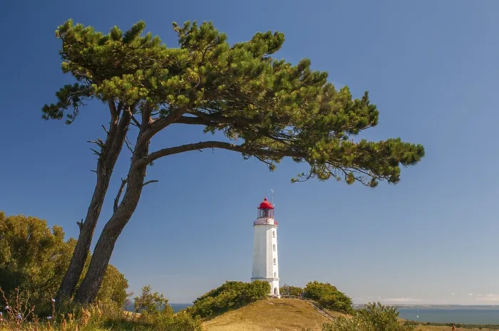 Framed Print : Lighthouse Print on Hiddensee Island, Germany Framed Print : Lighthouse Print on Hiddensee Island, Germany