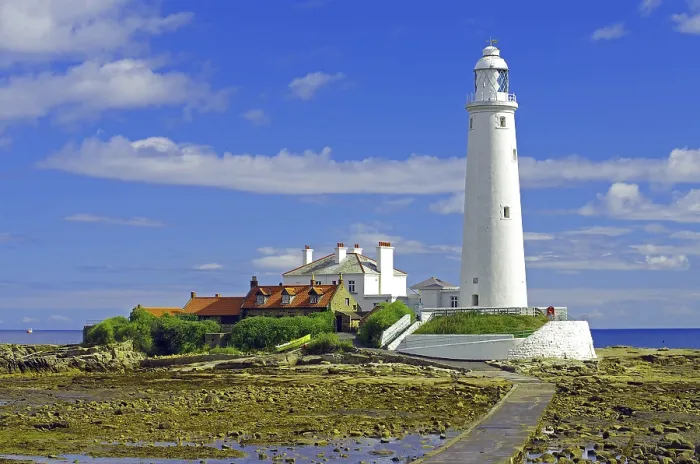 Framed Print : St. Mary's Lighthouse Print, Tynemouth, Whitley Bay Framed Print : St. Mary's Lighthouse Print, Tynemouth, Whitley Bay