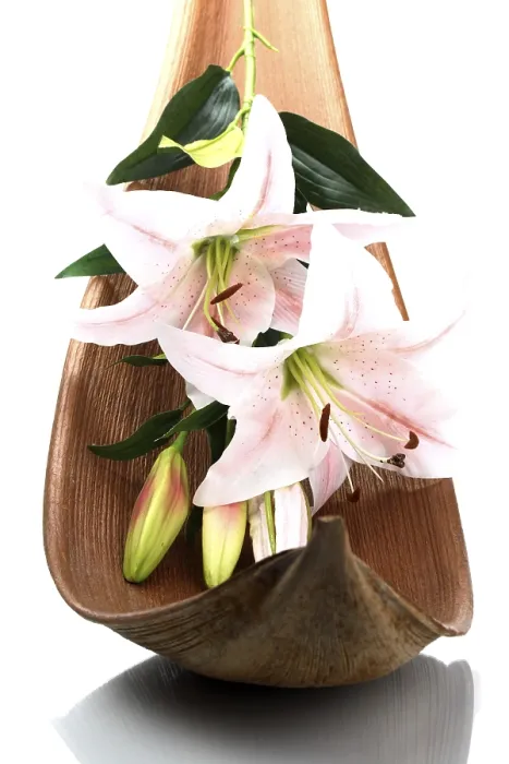Framed Print : Lily in Palm Leaf Print Framed Print : Lily in Palm Leaf Print