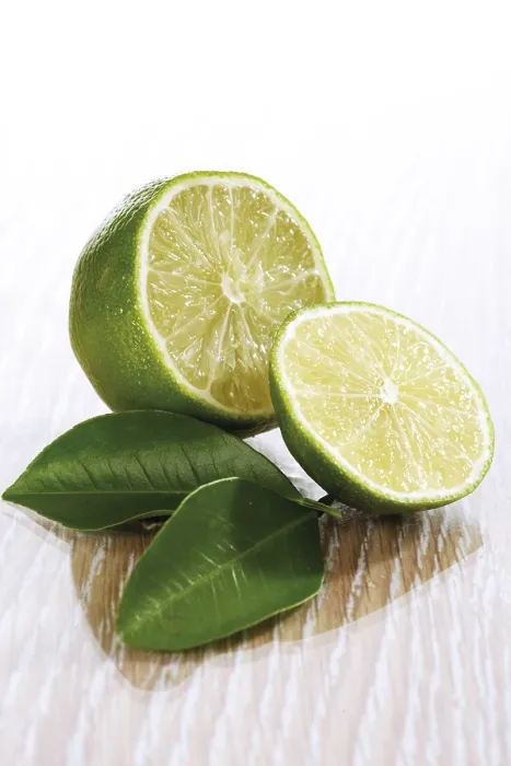 Framed Print : Citrus Lime Print Framed Print : Citrus Lime Print