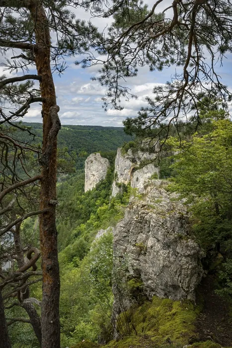Framed Print : Upper Danube Valley Limestone Rocks Print, Beuron, Germany Framed Print : Upper Danube Valley Limestone Rocks Print, Beuron, Germany