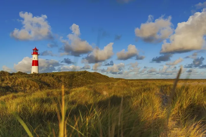 Framed Print : The Lister lighthouse at Ellenbogen, Sylt Island Print Framed Print : The Lister lighthouse at Ellenbogen, Sylt Island Print