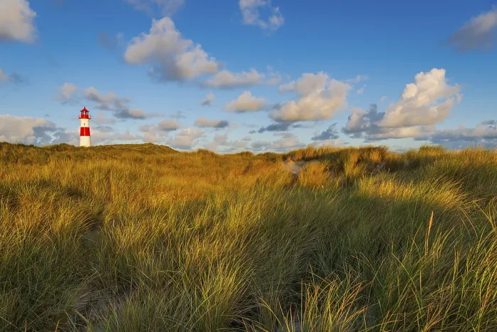 Framed Print : The Lister lighthouse at Ellenbogen Print, Sylt Island Framed Print : The Lister lighthouse at Ellenbogen Print, Sylt Island