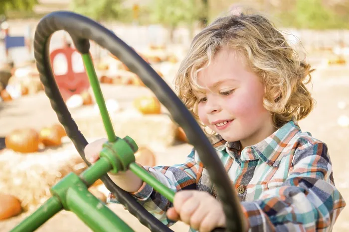 Framed Print : Little Boy in Tractor at Pumpkin Patch Print