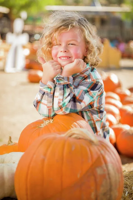 Framed Print : Little Boy at the Pumpkin Patch Print