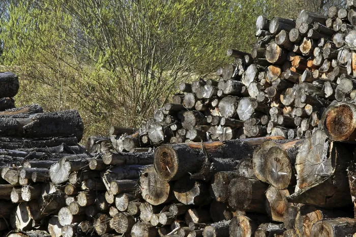 Framed Print : Log Pile Print Framed Print : Log Pile Print