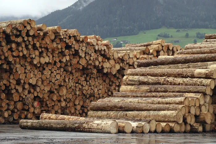 Framed Print : Log Storage and Processing Print, Binderholz GmbH Sawmill Framed Print : Log Storage and Processing Print, Binderholz GmbH Sawmill