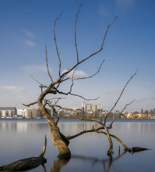 Framed Print : Long Exposure Print of Withered Tree in Water, Berlin Framed Print : Long Exposure Print of Withered Tree in Water, Berlin