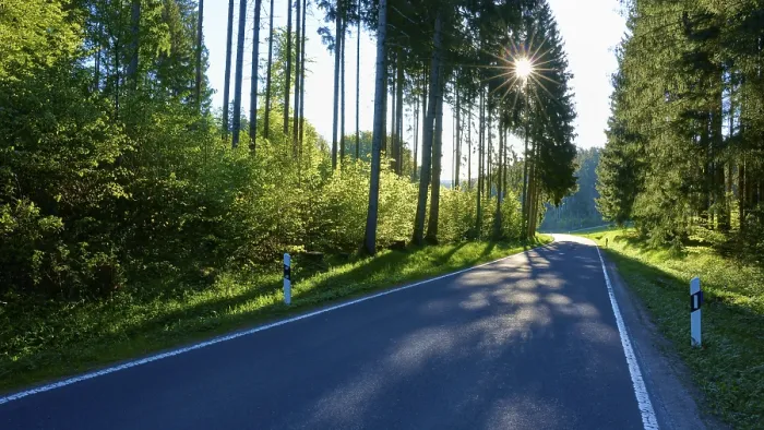 Framed Print : A long road through a thick forest Print, Bavaria, Germany Framed Print : A long road through a thick forest Print, Bavaria, Germany