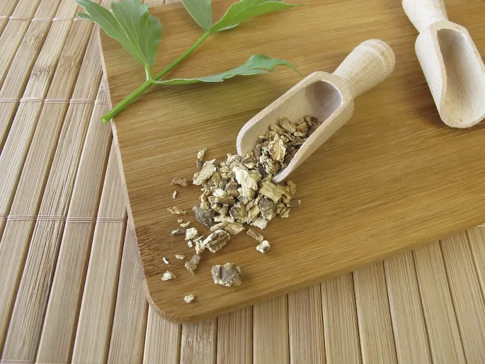 Framed Print : Lovage Root Print, Levistici Radix Framed Print : Lovage Root Print, Levistici Radix