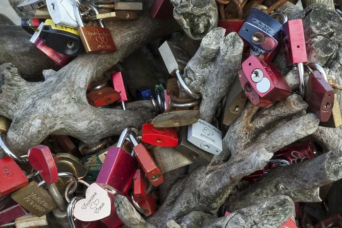 Framed Print : Love Padlocks on a Tree Root Print, Zingst, Germany Framed Print : Love Padlocks on a Tree Root Print, Zingst, Germany