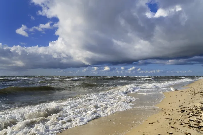 Framed Print : Low Clouds over Western Beach Print, Darss, Germany Framed Print : Low Clouds over Western Beach Print, Darss, Germany