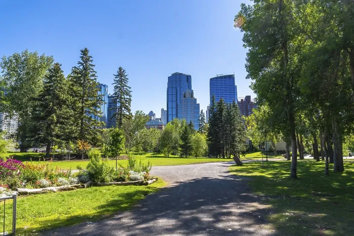 Framed Print : Lush Green Trees in Calgary, Alberta Print Framed Print : Lush Green Trees in Calgary, Alberta Print