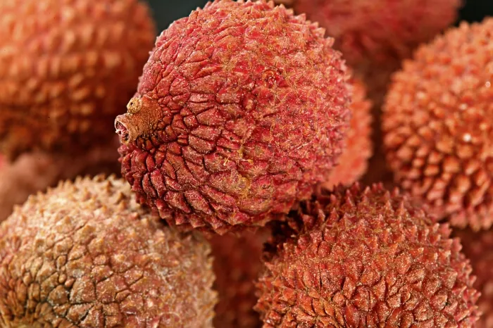 Framed Print : Lychee Lychee Print by ImageBROKER Framed Print : Lychee Lychee Print by ImageBROKER