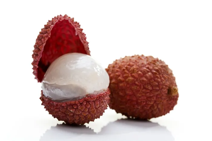 Framed Print : Lychees Print - Fresh Fruit on Tree Branch Framed Print : Lychees Print - Fresh Fruit on Tree Branch