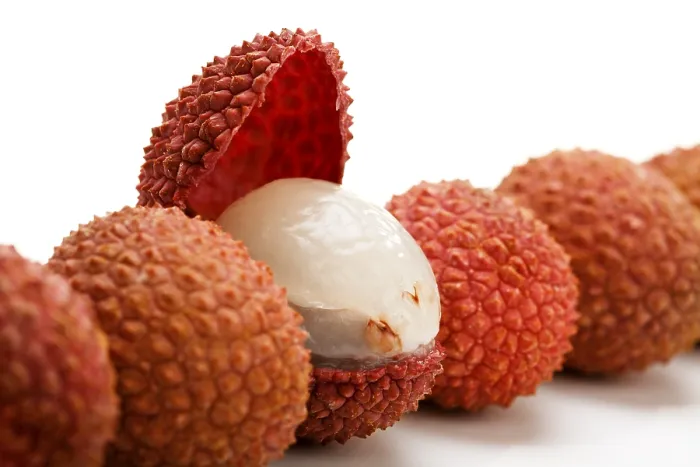 Framed Print : Lychees Print - Fresh Fruit on Tree Framed Print : Lychees Print - Fresh Fruit on Tree
