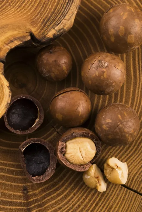Framed Print : Macadamia Nuts Print Framed Print : Macadamia Nuts Print