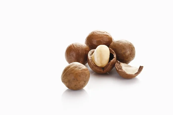 Framed Print : Macadamia Nuts Print - Shells and Kernels Framed Print : Macadamia Nuts Print - Shells and Kernels