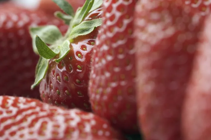 Framed Print : Macro Print of Fresh Strawberry Framed Print : Macro Print of Fresh Strawberry