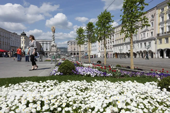 Framed Print : Main Square and Holy Trinity Column Print, Linz, Austria Framed Print : Main Square and Holy Trinity Column Print, Linz, Austria