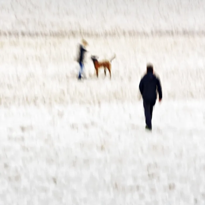 Framed Print : Man with Child and Dog on Beach Print, North Sea Coast Framed Print : Man with Child and Dog on Beach Print, North Sea Coast