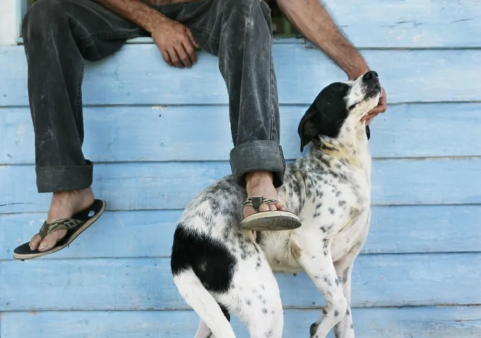 Framed Print : Man with his Dog Print Framed Print : Man with his Dog Print