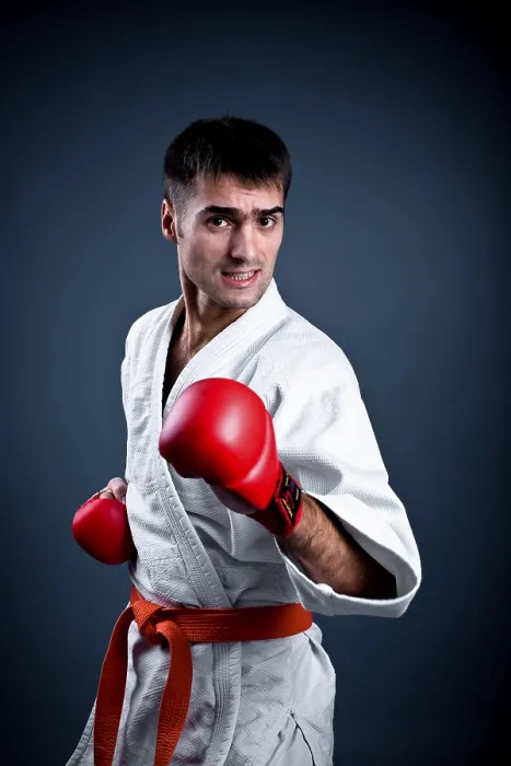Framed Print : Karate Fighter Print Framed Print : Karate Fighter Print