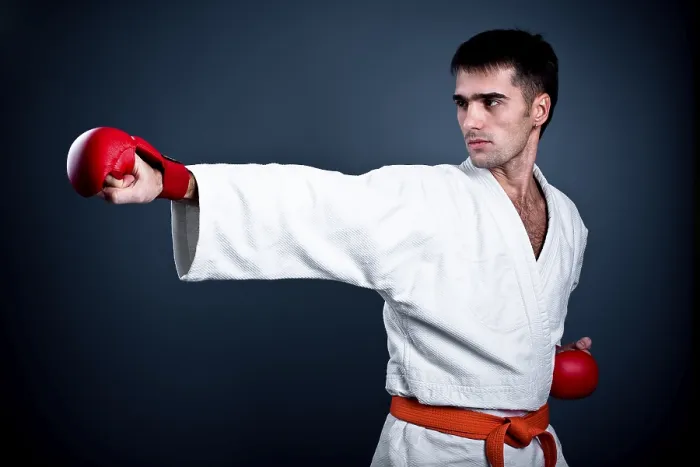 Framed Print : Karate Fighter Print Framed Print : Karate Fighter Print