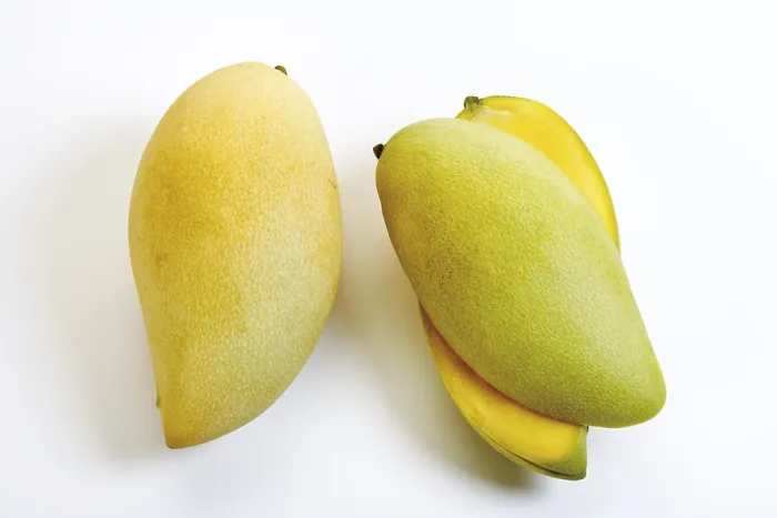 Framed Print : Mangoes Print by ImageBROKER Framed Print : Mangoes Print by ImageBROKER