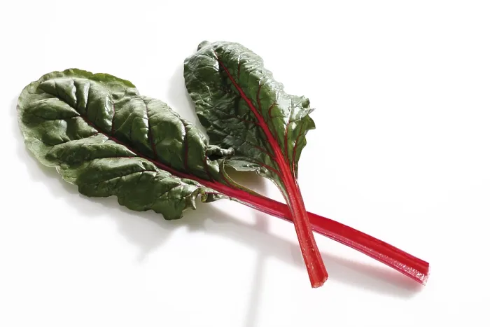 Framed Print : Mangold Print, Chard Plant Image Framed Print : Mangold Print, Chard Plant Image