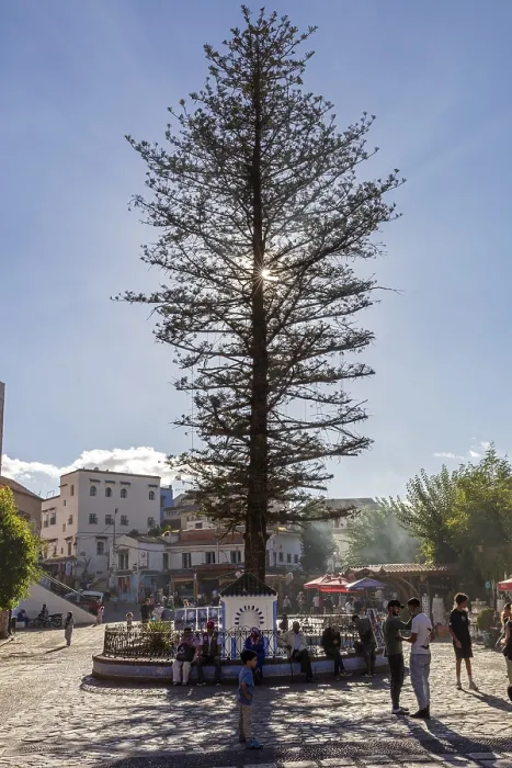 Framed Print : Chefchaouen Morocco Print Framed Print : Chefchaouen Morocco Print