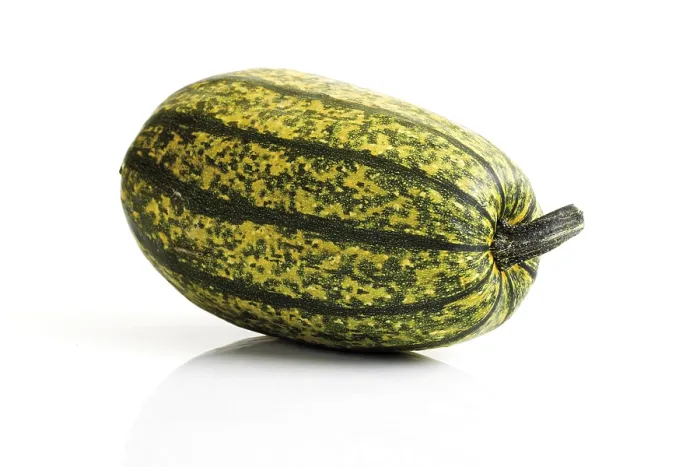 Framed Print : Spaghetti Squash Marrow Print Framed Print : Spaghetti Squash Marrow Print