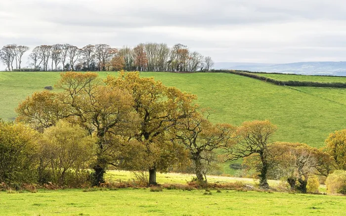 Framed Print : Devon Landscape Print: Autumnal Meadows and Fields, England Framed Print : Devon Landscape Print: Autumnal Meadows and Fields, England