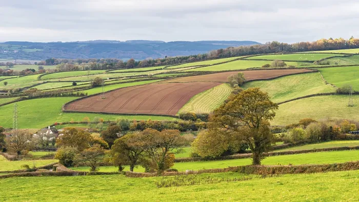 Framed Print : Fall Landscape Print - Devon, England Framed Print : Fall Landscape Print - Devon, England