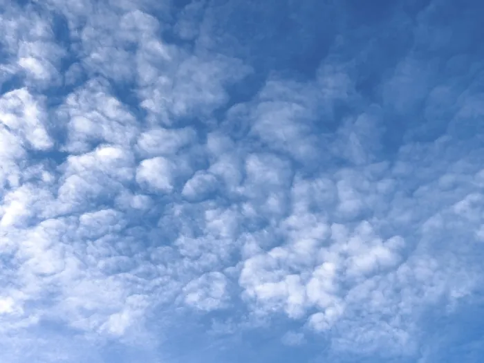 Framed Print : Medium-height Altocumulus Clouds Print (International) Framed Print : Medium-height Altocumulus Clouds Print (International)