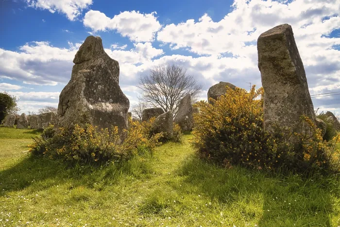 Framed Print : Megalithic Stone Rows Print, Erdeven, Morbihan, France
