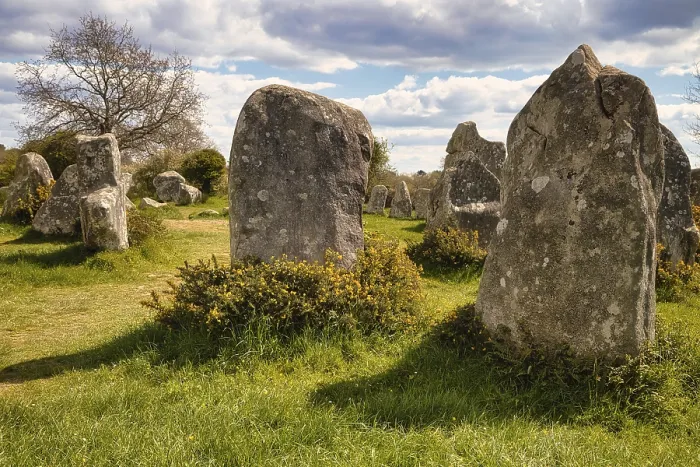 Framed Print : Megalithic Stone Rows Print - Kerzerho, Brittany, France Framed Print : Megalithic Stone Rows Print - Kerzerho, Brittany, France