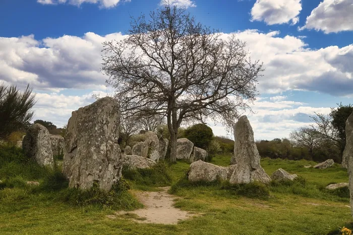 Framed Print : Megalithic Stone Rows Print, Kerzerho, Brittany, France Framed Print : Megalithic Stone Rows Print, Kerzerho, Brittany, France