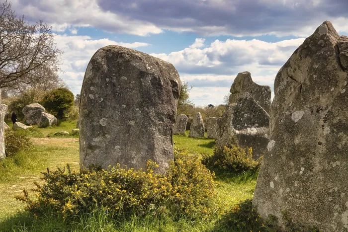 Framed Print : Megalithic Stone Rows Print - Kerzerho, Brittany, France Framed Print : Megalithic Stone Rows Print - Kerzerho, Brittany, France