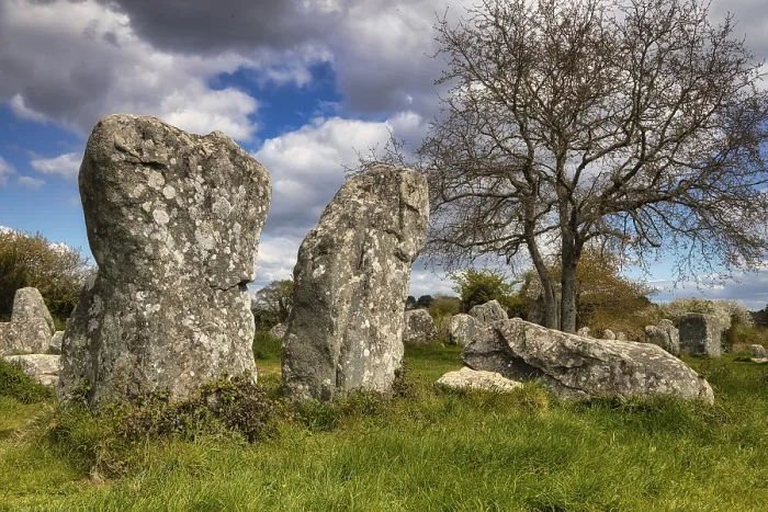 Framed Print : Megalithic Stone Rows Print, Erdeven, Brittany, France Framed Print : Megalithic Stone Rows Print, Erdeven, Brittany, France