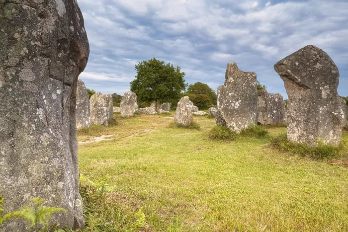 Framed Print : Megalithic Stone Rows Print, Erdeven, Brittany, France Framed Print : Megalithic Stone Rows Print, Erdeven, Brittany, France