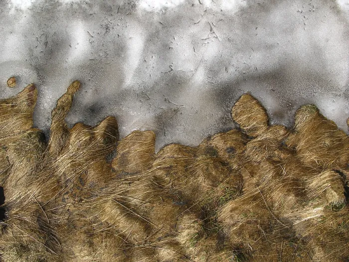 Framed Print : Melting Snow Print Framed Print : Melting Snow Print